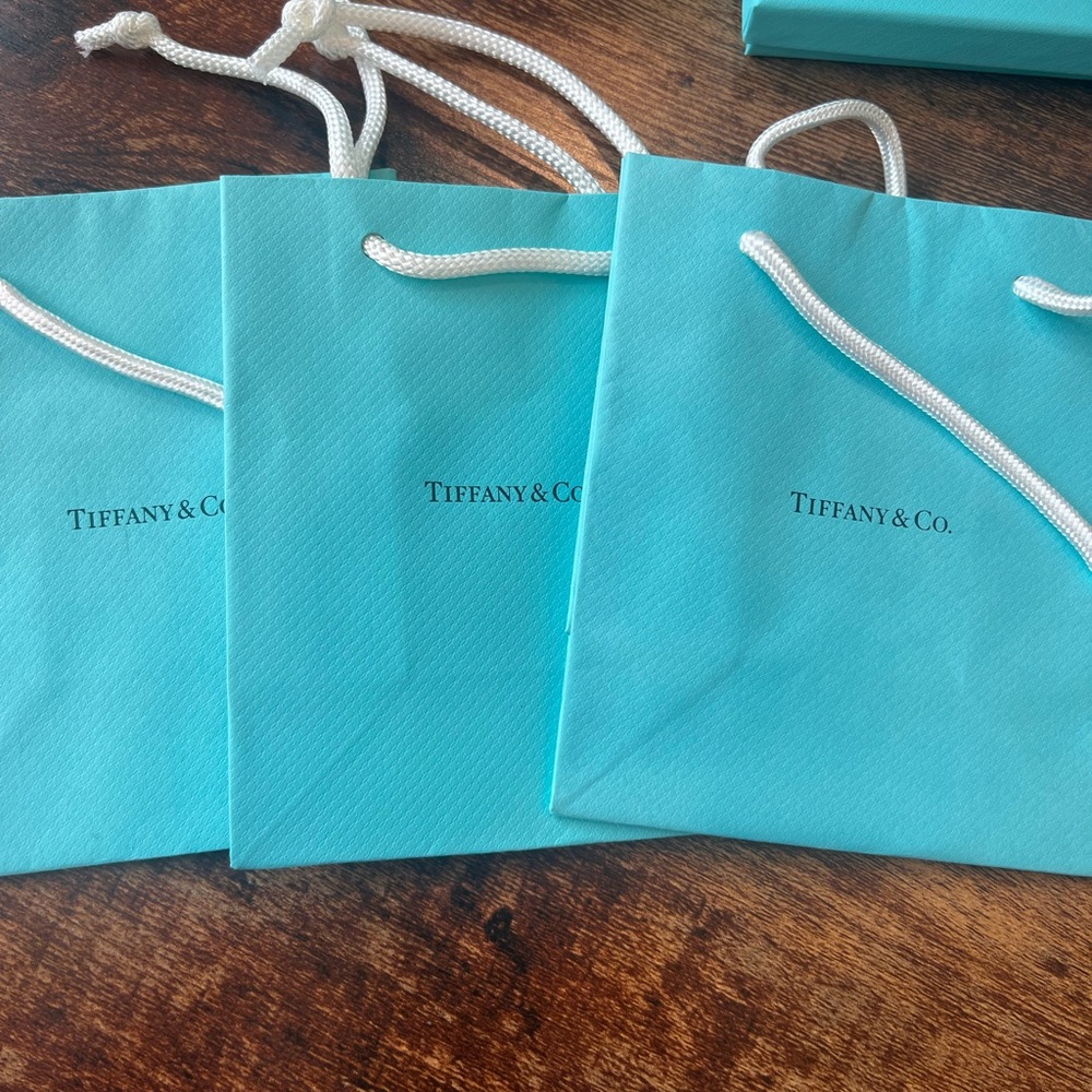5 Tiffany & Co. Gift Bags with White Rope Handles - - Picture 3 of 5